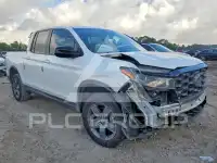 2024 Honda RIDGELINE photo