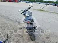 2024 Honda CB photo