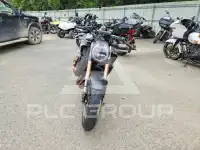 2024 Honda CB фото