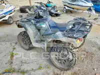 2024 Honda TRX фото