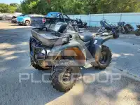 2024 Honda TRX photo