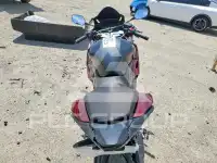 2024 Honda CBR photo
