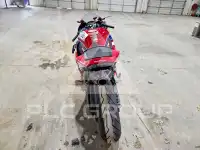 2024 Honda CBR photo
