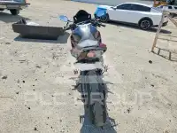 2024 Honda CBR photo