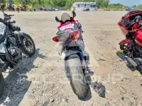 2024 Honda CBR photo