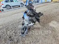 2024 Honda CBR photo