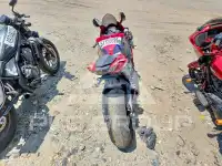 2024 Honda CBR photo