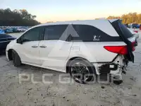 2024 Honda ODYSSEY фото