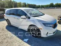 2024 Honda ODYSSEY photo