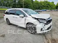 2024 Honda ODYSSEY photo