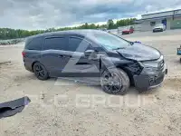 2024 Honda ODYSSEY фото