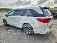 2024 Honda ODYSSEY photo