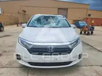 2024 Honda ODYSSEY photo