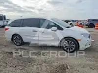 2024 Honda ODYSSEY фото