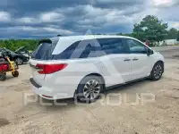 2024 Honda ODYSSEY photo