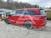 2024 Honda ODYSSEY фото