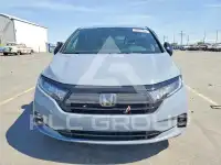 2024 Honda ODYSSEY фото