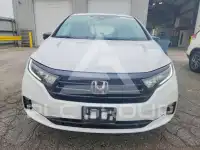 2024 Honda ODYSSEY фото