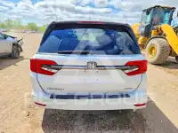 2024 Honda ODYSSEY фото