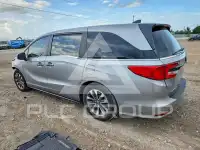 2024 Honda ODYSSEY photo