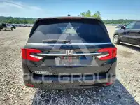 2024 Honda ODYSSEY фото