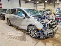 2024 Honda ODYSSEY photo