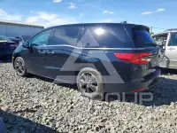 2024 Honda ODYSSEY фото