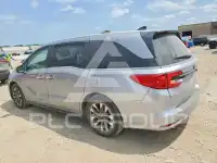 2024 Honda ODYSSEY фото