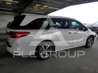 2024 Honda ODYSSEY фото