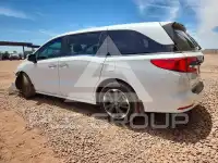 2024 Honda ODYSSEY фото