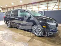 2024 Honda ODYSSEY фото