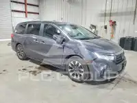 2024 Honda ODYSSEY фото