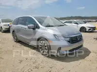 2024 Honda ODYSSEY фото