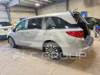 2024 Honda ODYSSEY photo