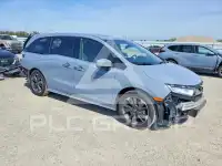 2024 Honda ODYSSEY фото