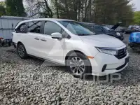 2024 Honda ODYSSEY фото
