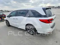 2024 Honda ODYSSEY фото
