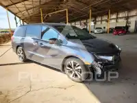 2024 Honda ODYSSEY фото