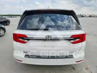 2024 Honda ODYSSEY фото