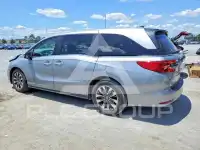 2024 Honda ODYSSEY фото