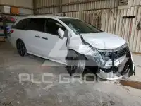 2024 Honda ODYSSEY photo