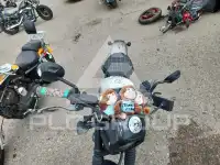 2024 Honda CM photo