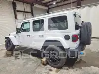 2024 Jeep WRANGLER фото
