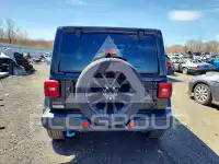 2024 Jeep WRANGLER фото