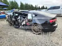 2024 Audi S5 фото