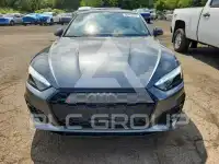 2024 Audi S5 photo