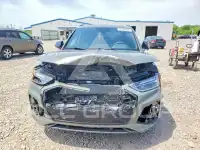 2024 Audi SQ5 фото