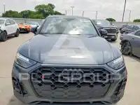 2024 Audi SQ5 фото