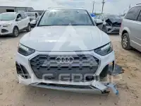2024 Audi Q5 photo