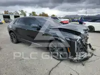 2024 Cadillac Other фото